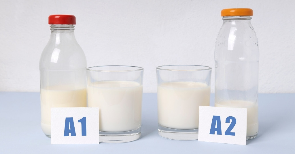 Key Differences Between A1 vs A2 Milk